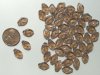 50 12mm Smoke Topaz Leaf Beads